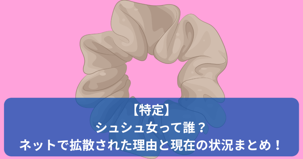 SNSで話題の「シュシュ女」とは誰なのか