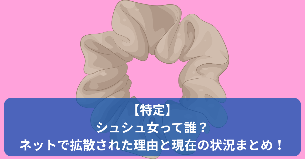 SNSで話題の「シュシュ女」とは誰なのか